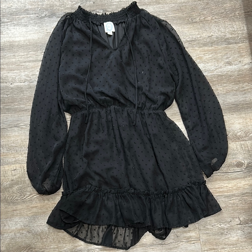 Elegant Black Sheer Dress